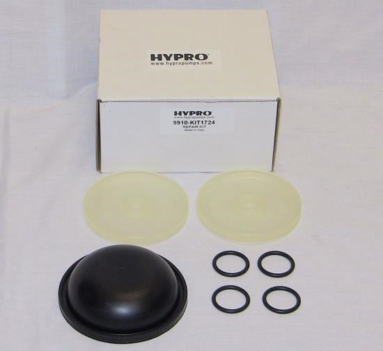 Hypro D30 Diaphragm Kit