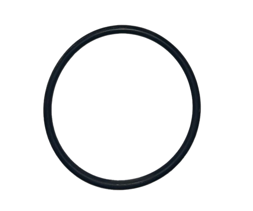 O-Ring - 1101.68