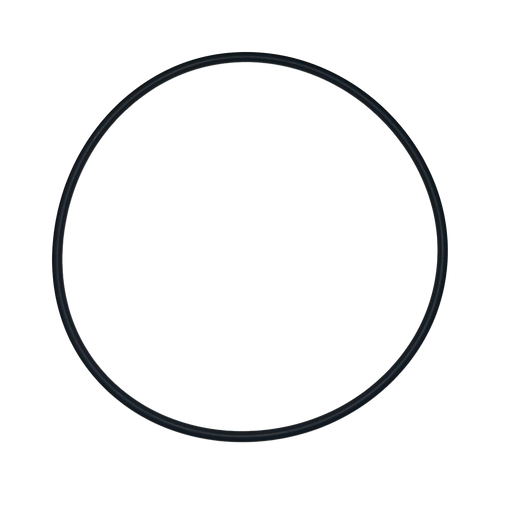 O-Ring - 1101.87