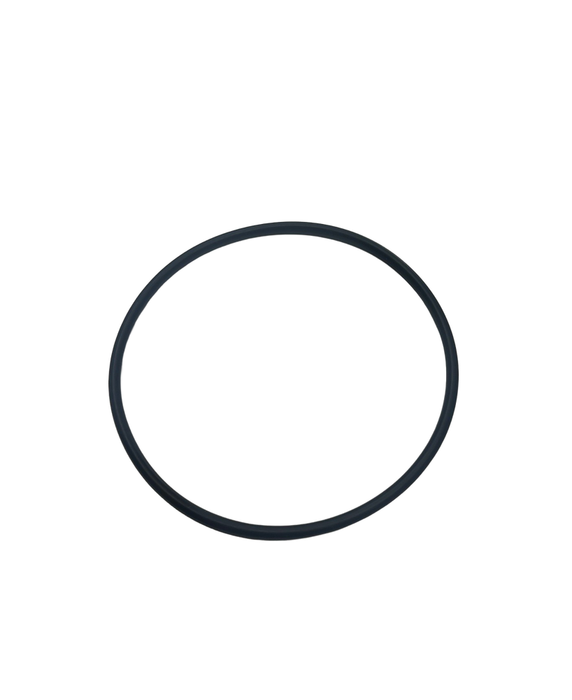 Strainer Screen O-ring