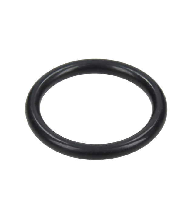 AR Diaphragm pump Check Valve O-ring