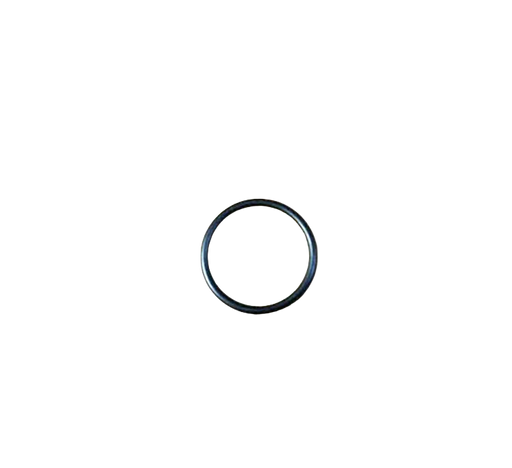 AR390290 O-ring