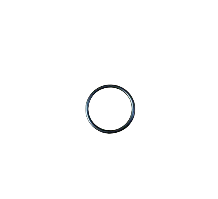 AR390290 O-ring