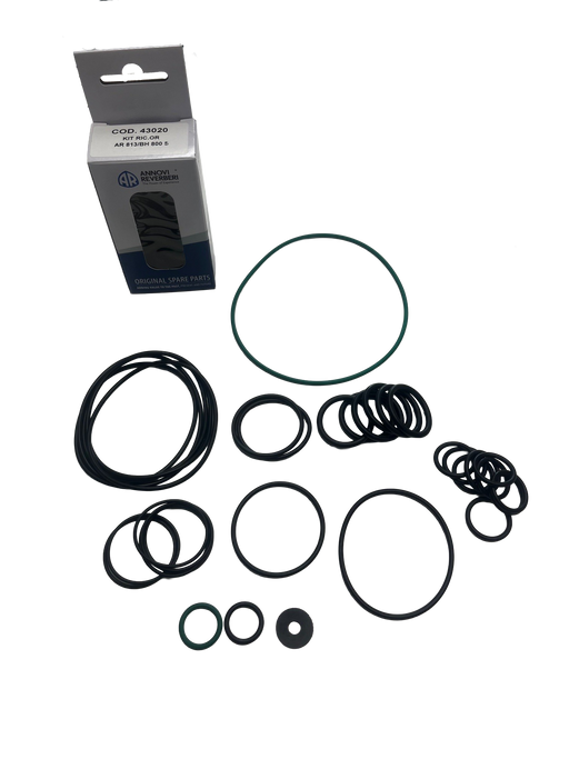 AR43020 O-ring kit for AR813 pumps