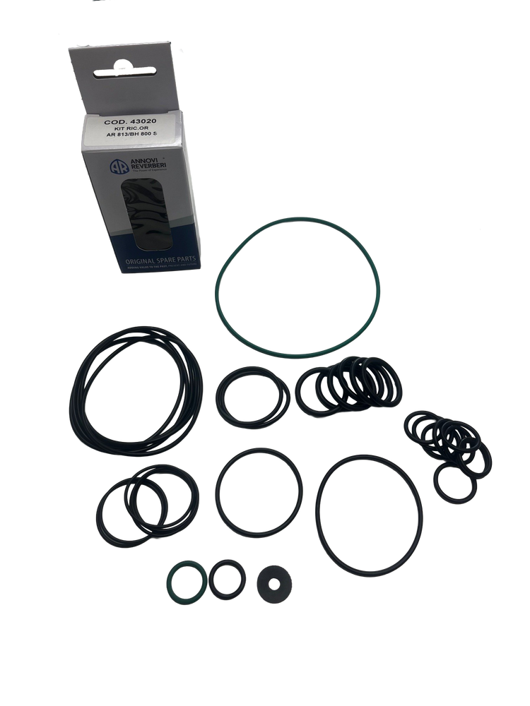 AR43020 O-ring kit for AR813 pumps
