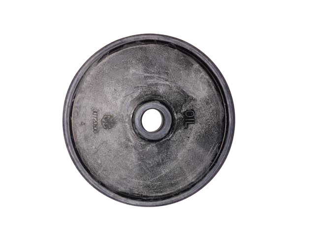 AR30/40/503 Diaphragm (Buna)