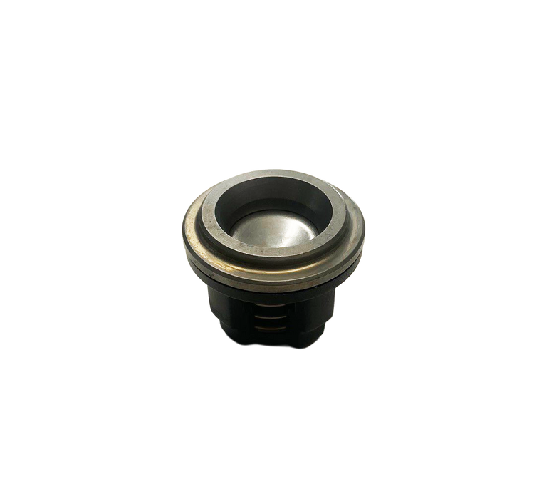 AR30/AR40 Replacement Check Valve Assembly (single)