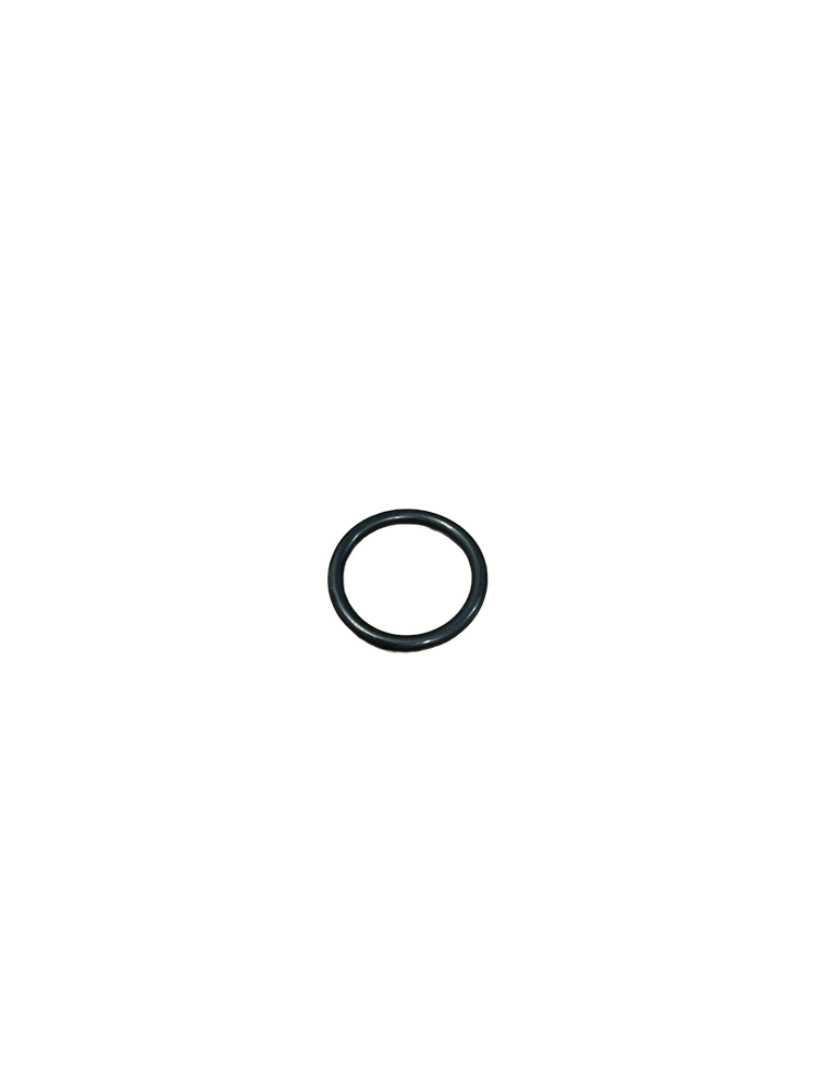 Arag G10041 O-ring